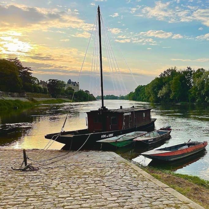 Le 20 La Loire Maison De Bord De Loire Chalonnes-sur-Loire Esterno foto